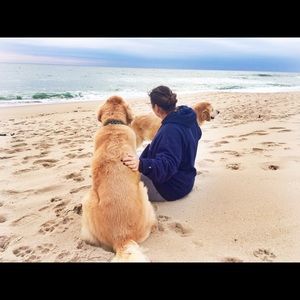 Meet your Posher, Camile